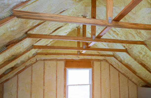 Best Insulation Replacement Services  in Willow Grove, TX