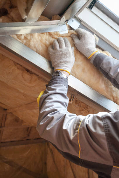 Best Insulation Replacement Services  in Willow Grove, TX