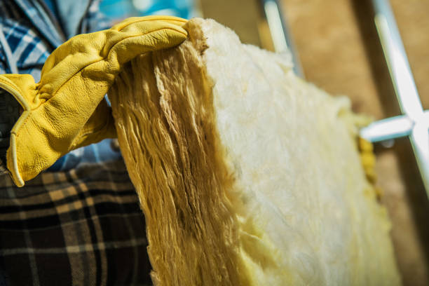 Best Cellulose Insulation  in Willow Grove, TX