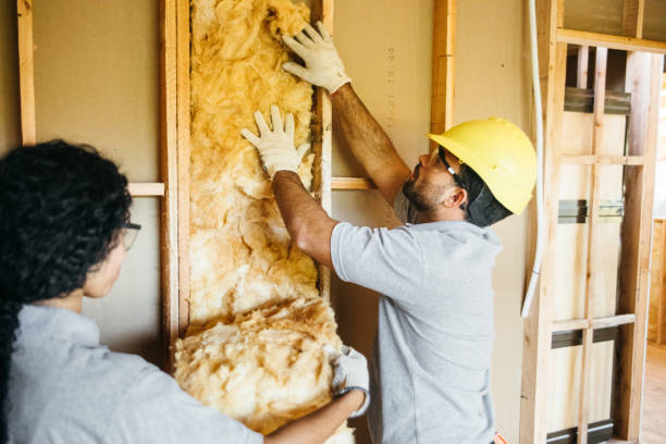 Best Attic Insulation Installation  in Willow Grove, TX