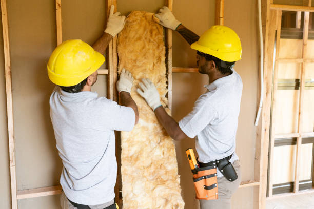 Best Garage Insulation Installation  in Willow Grove, TX